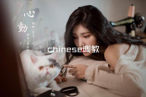chinese调教